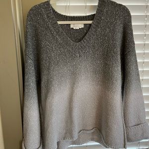 Anthro Ombré Sweater